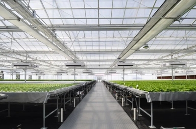 沈陽,一個(gè)意想不到的農(nóng)業(yè)大市