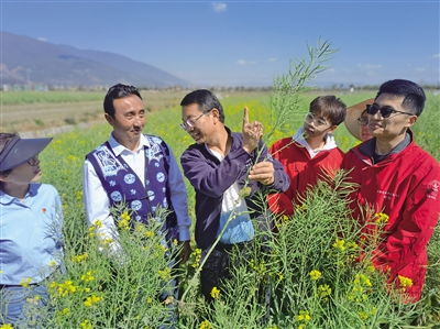 中國農(nóng)業(yè)大學(xué)2009年探索成立科技小院,培養(yǎng)農(nóng)業(yè)高層次人才,服務(wù)農(nóng)業(yè)農(nóng)村現(xiàn)代化建設(shè) 中國農(nóng)大已在全國建立139個(gè)科技小院