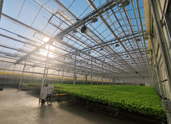 科技小院迎來首場賽事,力促農(nóng)研技術落地服務鄉(xiāng)村振興落地服務鄉(xiāng)村振興