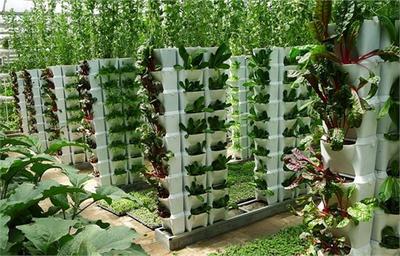 智慧農業的深度解讀