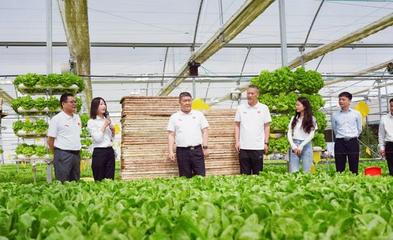 服務(wù)三農(nóng) 助力鄉(xiāng)村振興 河南日報(bào)社南陽分社黨支部聯(lián)合內(nèi)鄉(xiāng)縣中以高效農(nóng)業(yè)科技開發(fā)黨支部開展主題黨日活動