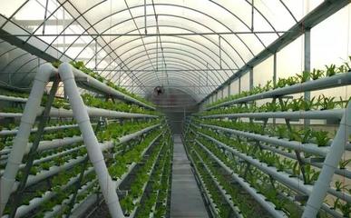 幾種現(xiàn)代精準(zhǔn)農(nóng)業(yè)種植新模式!