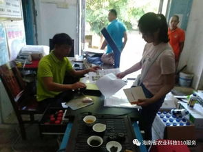 實(shí)現(xiàn)農(nóng)業(yè)科技110轉(zhuǎn)型升級(jí) 助力鄉(xiāng)村振興戰(zhàn)略實(shí)施 南部服務(wù)中心技術(shù)員走訪五指山8個(gè)服務(wù)站