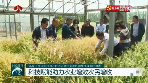 問題不出田 江蘇積極開展農業(yè)科技服務活動