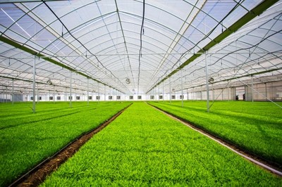 鹽城探路農(nóng)業(yè)現(xiàn)代化 精耕細作&ldquo;希望的田野&rdquo;