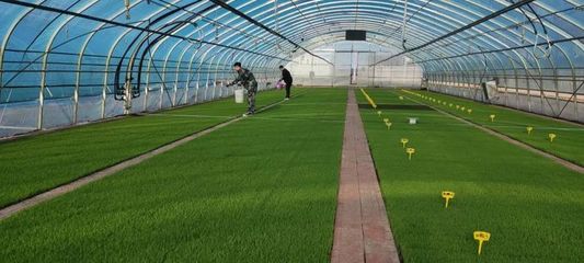 稼穡篤行|前進農場農業科技服務中心