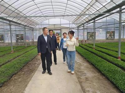 隴南武都區(qū):統(tǒng)戰(zhàn)賦能農(nóng)旅融合 激活產(chǎn)業(yè)振興&ldquo;新動(dòng)能&rdquo;