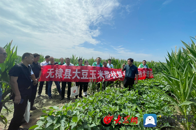 無(wú)棣縣科技特派員送“技”到田間，助力農(nóng)業(yè)科技服務(wù)升級(jí)