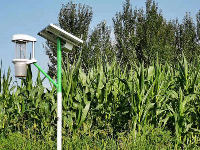 致敬耕耘者！「盤點(diǎn)2021」農(nóng)業(yè)科技公司的情懷與擔(dān)當(dāng)